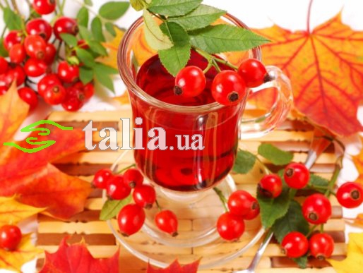 Рецепт. Вино из шиповника (домашнее)