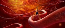 Статья. Как укрепить слабые сосуды, ломкость капилляров, поврежденные капилляры