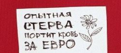Статья. Как стать стервой, хочу быть стервой, стерва, стервология, стервозность